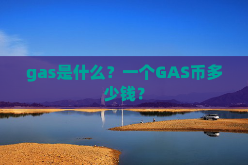 gas是什么？一个GAS币多少钱？