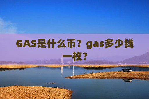 GAS是什么币？gas多少钱一枚？
