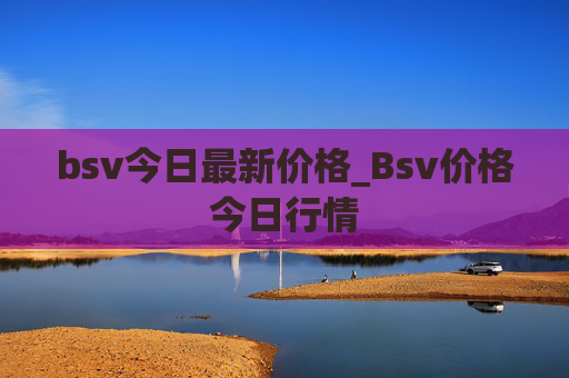 bsv今日最新价格_Bsv价格今日行情