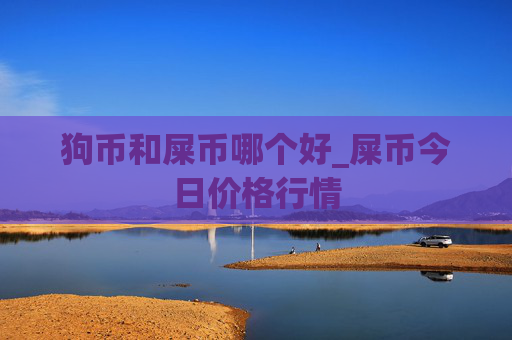 狗币和屎币哪个好_屎币今日价格行情