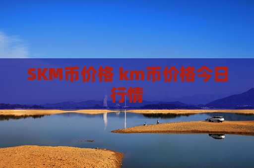 SKM币价格 km币价格今日行情