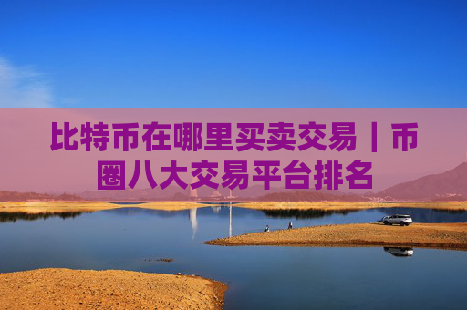 比特币在哪里买卖交易|币圈八大交易平台排名