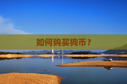 如何购买狗币?