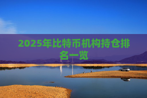 2025年比特币机构持仓排名一览