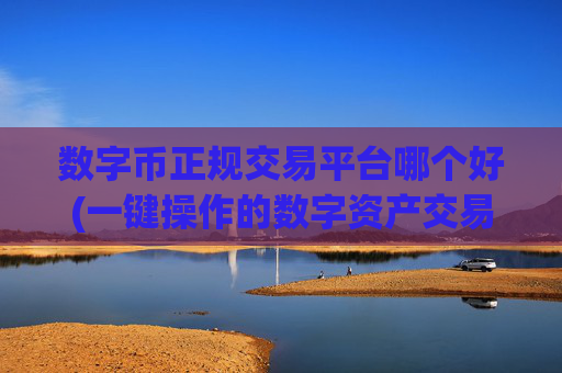 数字币正规交易平台哪个好(一键操作的数字资产交易所)