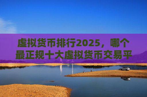 虚拟货币排行2025，哪个最正规十大虚拟货币交易平台
