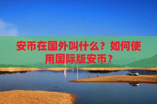 安币在国外叫什么?如何使用国际版安币?