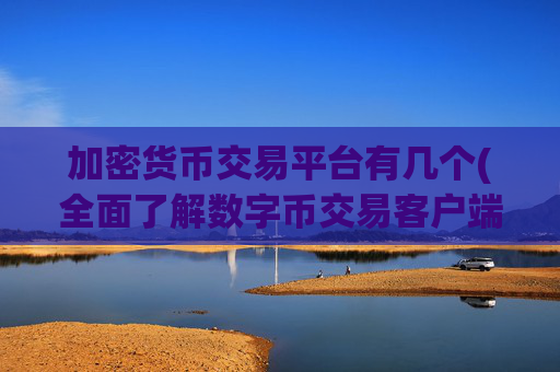 加密货币交易平台有几个(全面了解数字币交易客户端)