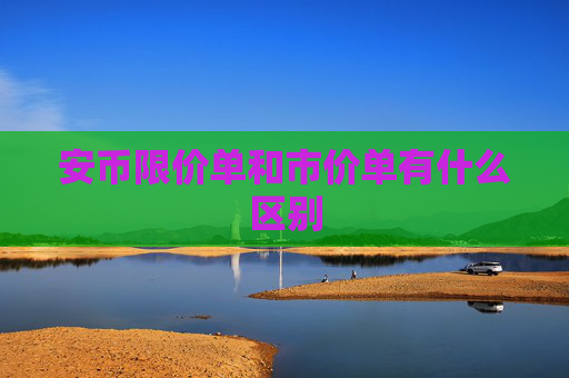 安币限价单和市价单有什么区别
