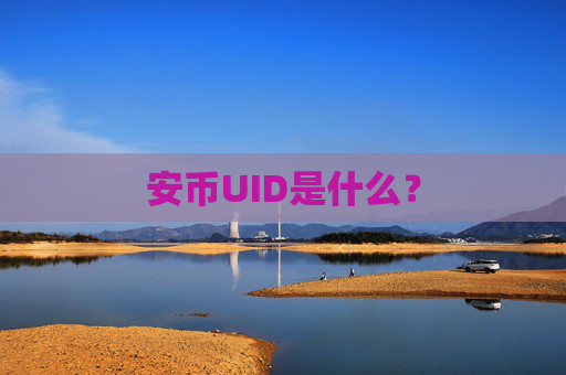安币UID是什么?