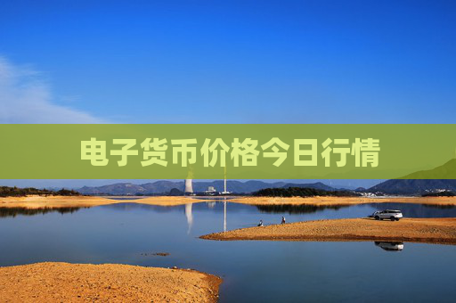电子货币价格今日行情