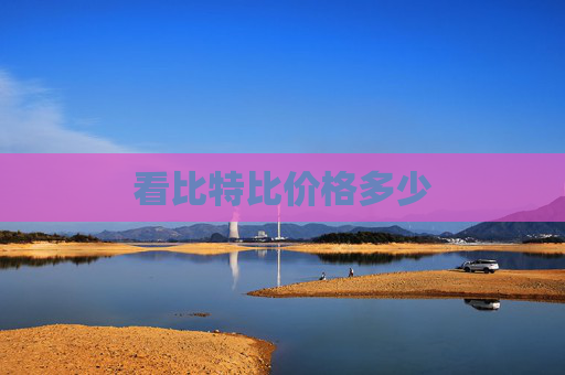 看比特比价格多少