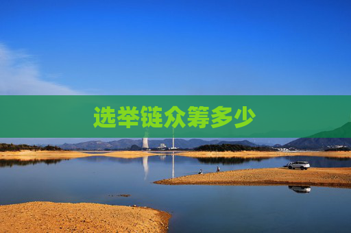 选举链众筹多少