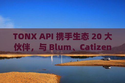 TONX API 携手生态 20 大伙伴,与 Blum、Catizen、CoinGecko、Google Cloud 共建 TON 开发者生态