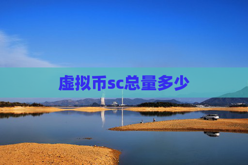虚拟币sc总量多少