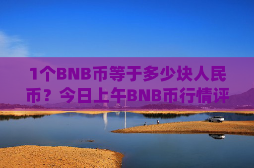 1个BNB币等于多少块人民币？今日上午BNB币行情评述(现价4831.23元)