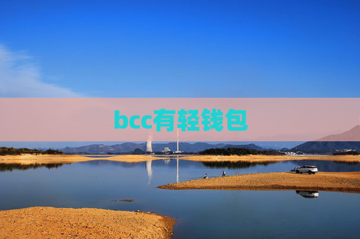 bcc有轻钱包
