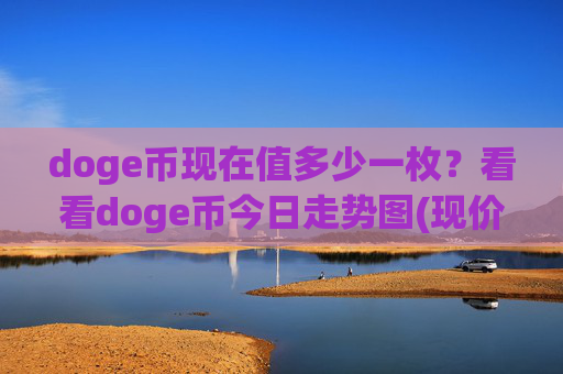 doge币现在值多少一枚？看看doge币今日走势图(现价2.3967元)