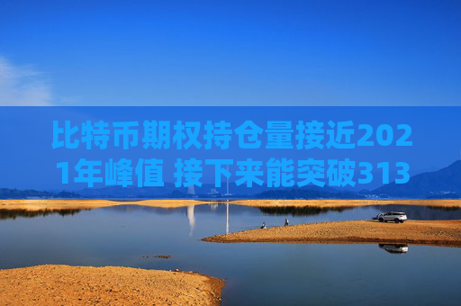 比特币期权持仓量接近2021年峰值 接下来能突破31300美元吗