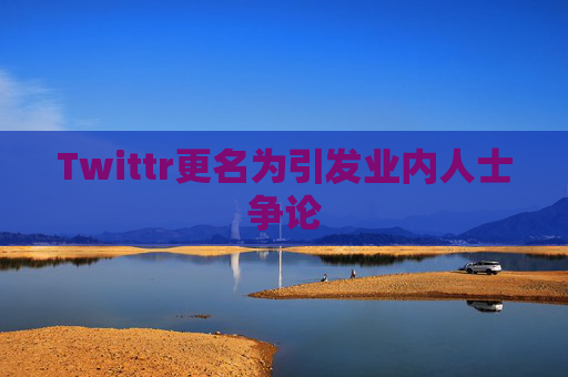 Twittr更名为引发业内人士争论