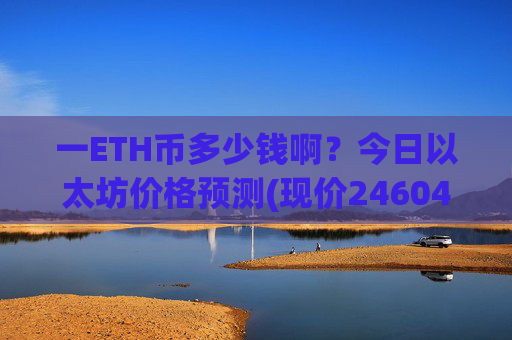 一ETH币多少钱啊？今日以太坊价格预测(现价24604.59元)