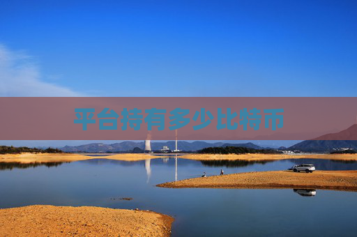 平台持有多少比特币