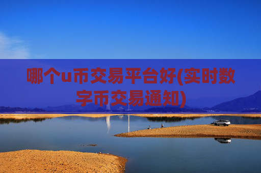 哪个u币交易平台好(实时数字币交易通知)