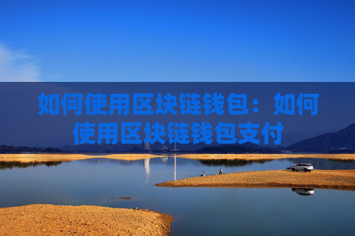 如何使用区块链钱包：如何使用区块链钱包支付