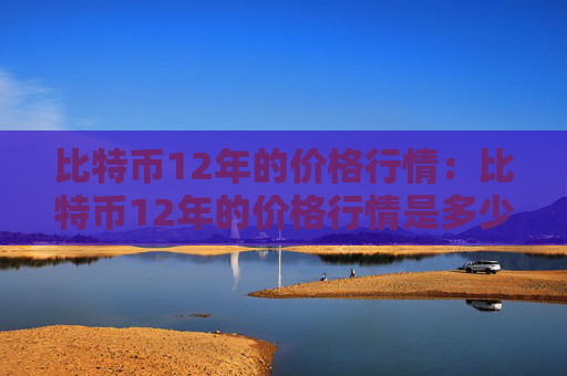 比特币12年的价格行情：比特币12年的价格行情是多少