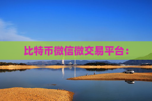 比特币微信微交易平台：