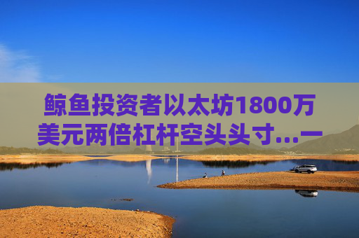 鲸鱼投资者以太坊1800万美元两倍杠杆空头头寸…一小时获利百万美元