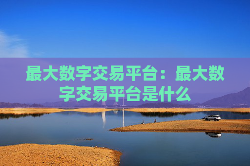 最大数字交易平台：最大数字交易平台是什么