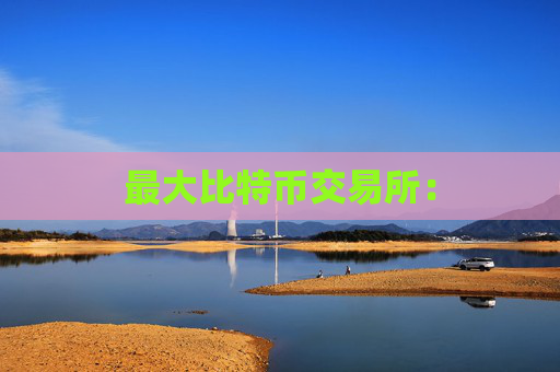 最大比特币交易所：