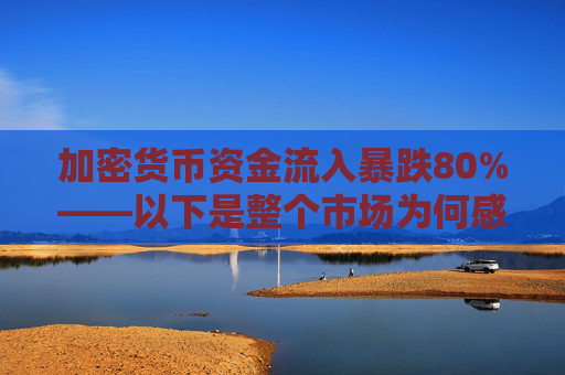 加密货币资金流入暴跌80%——以下是整个市场为何感觉“脱节”的原因