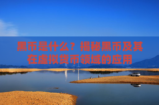 黑币是什么？揭秘黑币及其在虚拟货币领域的应用
