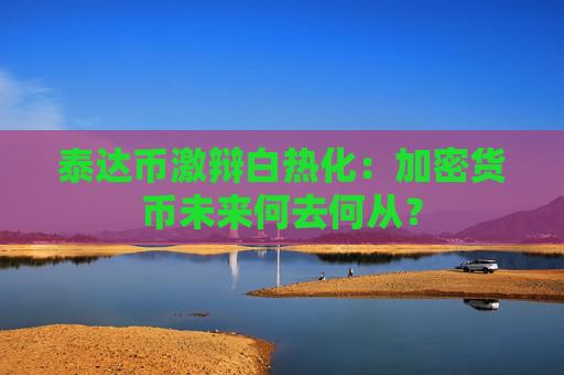 泰达币激辩白热化：加密货币未来何去何从？