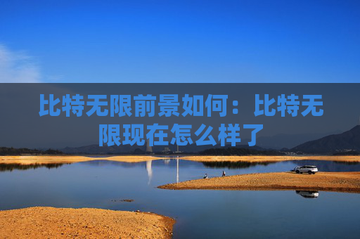 比特无限前景如何:比特无限现在怎么样了