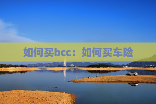 如何买bcc：如何买车险