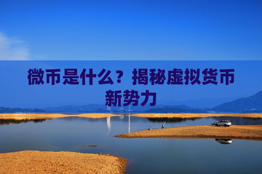 微币是什么？揭秘虚拟货币新势力