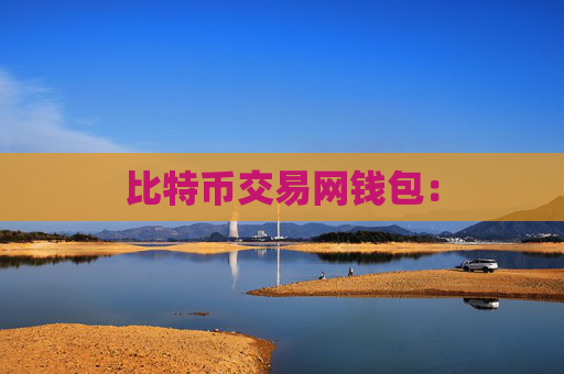 比特币交易网钱包：
