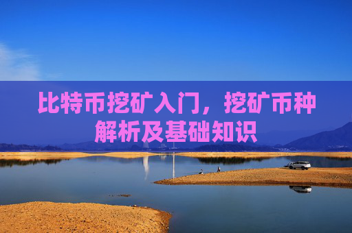 比特币挖矿入门,挖矿币种解析及基础知识