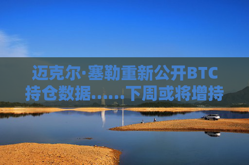 迈克尔·塞勒重新公开BTC持仓数据……下周或将增持比特币