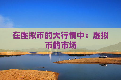 在虚拟币的大行情中：虚拟币的市场