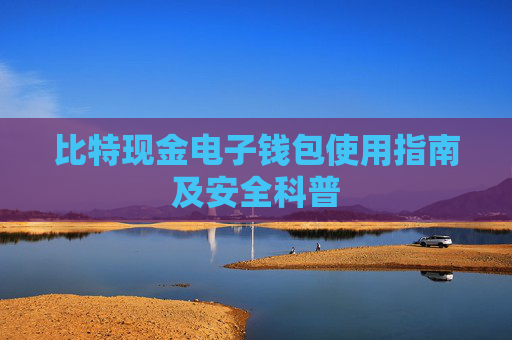比特现金电子钱包使用指南及安全科普
