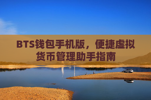 BTS钱包手机版,便捷虚拟货币管理助手指南