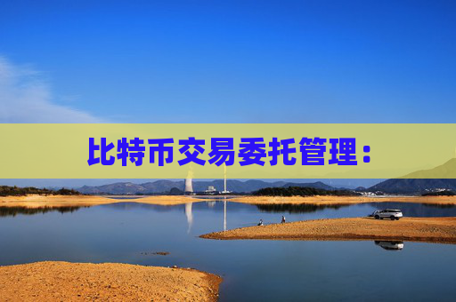 比特币交易委托管理：