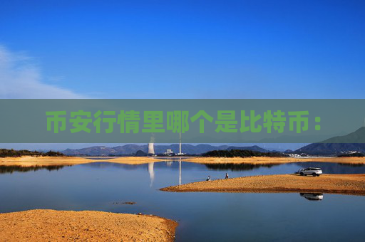 币安行情里哪个是比特币：