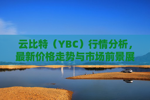 云比特（YBC）行情分析，最新价格走势与市场前景展望