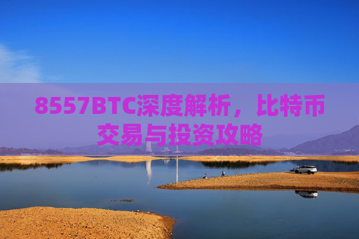 8557BTC深度解析，比特币交易与投资攻略