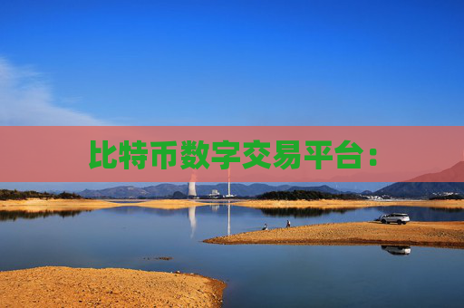比特币数字交易平台：
